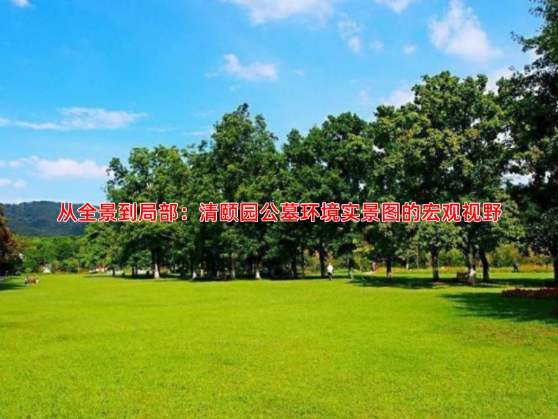 从全景到局部：清颐园公墓环境实景图的宏观视野