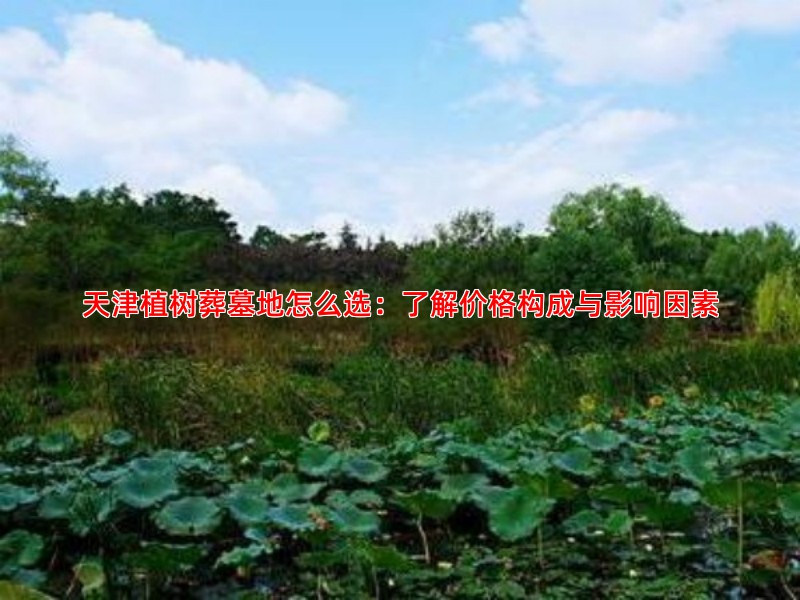 天津植树葬墓地怎么选：了解价格构成与影响因素