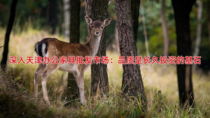 深入天津办公家具批发市场：品质是长久投资的基石