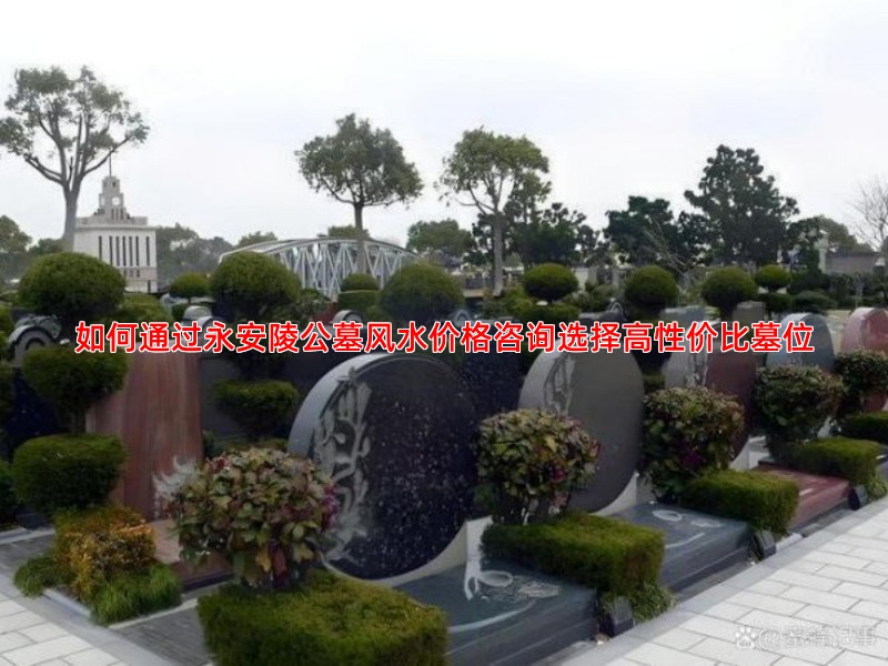 如何通过永安陵公墓风水价格咨询选择高性价比墓位