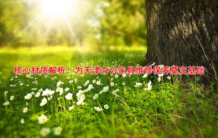 核心材质解析：为天津办公家具维修保养奠定基础