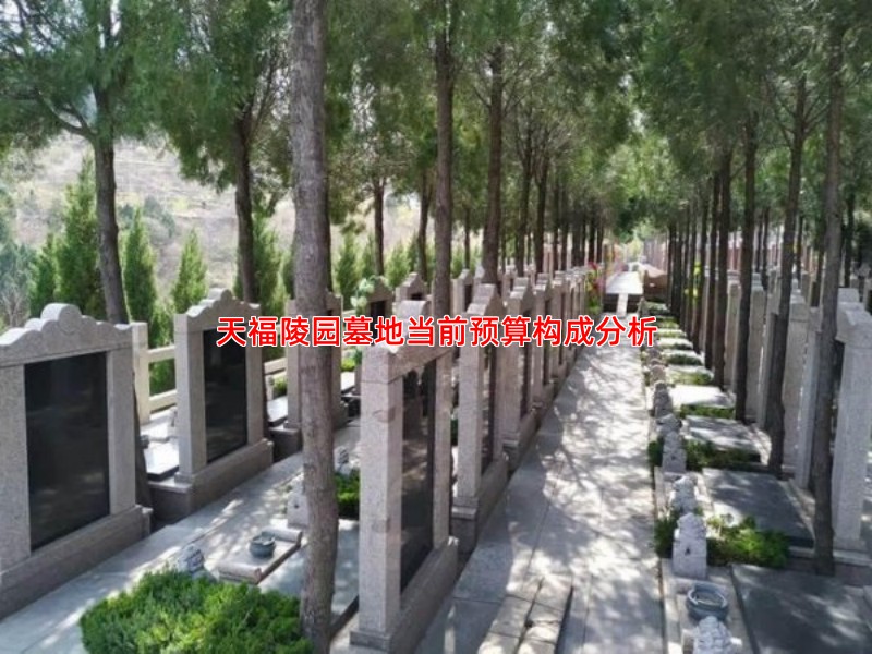 天福陵园墓地当前预算构成分析