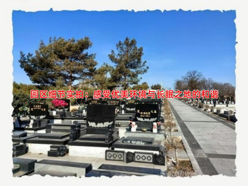 园区细节实拍：感受优美环境与长眠之地的和谐