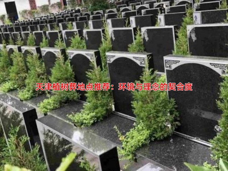 天津植树葬地点推荐：环境与理念的契合度