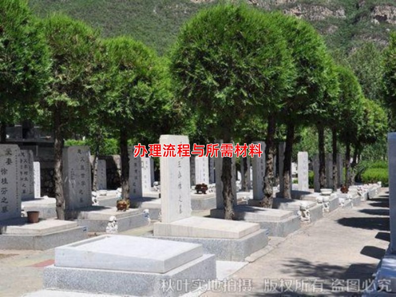 办理流程与所需材料