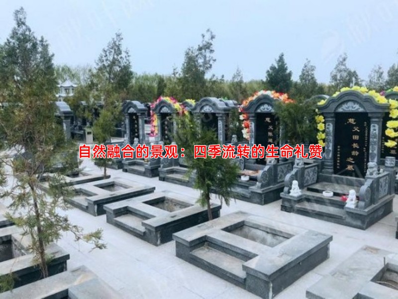 自然融合的景观：四季流转的生命礼赞