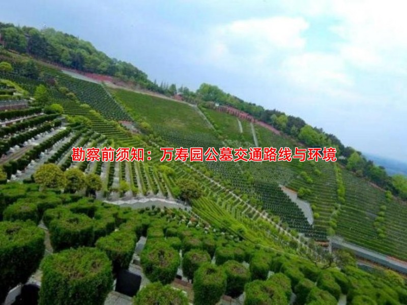 万寿园公墓风水如何选择福位有讲究