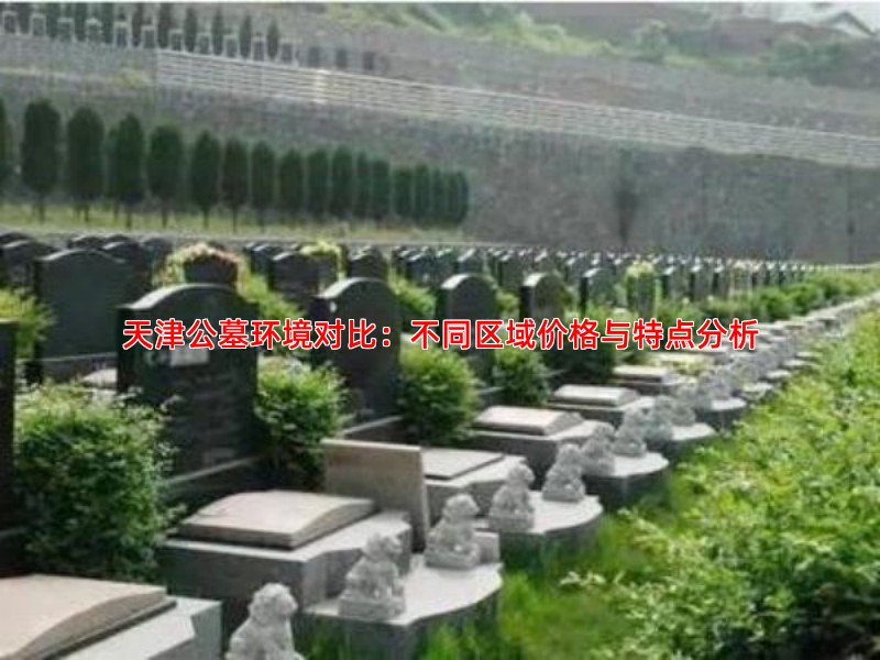 天津各区公墓价格对比与选择建议