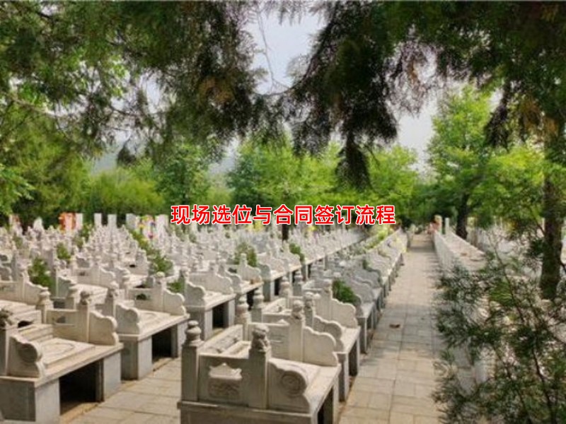现场选位与合同签订流程