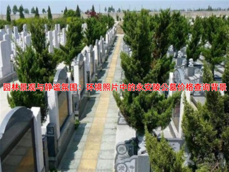园林式永安陵公墓环境照片赏析，宁静中见庄严